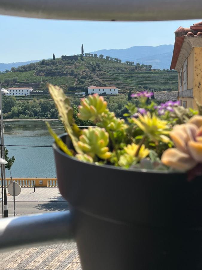 Alojamento Joaninha Douro 2 Peso da Régua Buitenkant foto